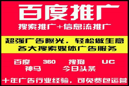 某某SEM团队成功提升网站流量与转化率的实战经验